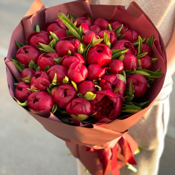 Монобукет из 25 бордовых пионов