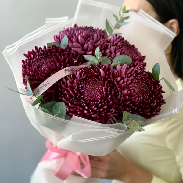 Монобукет из 5 винных хризантем с эвкалиптом
